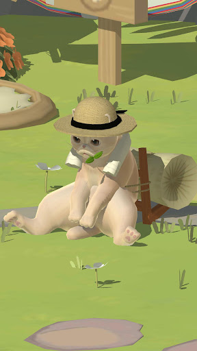 Кошачий курорт