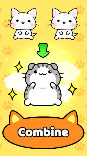 Cat Condo 2